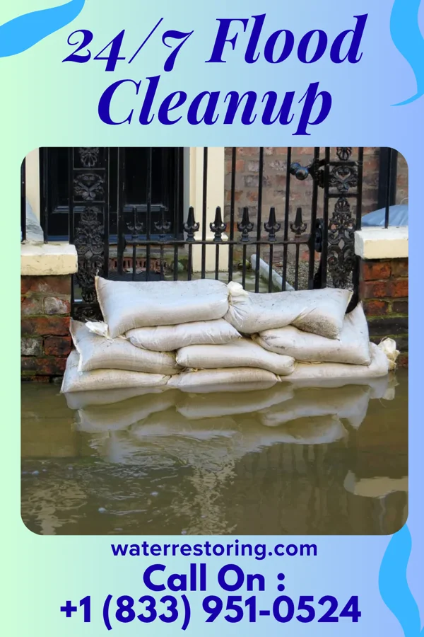 24/7 Flood Cleanup in Kiester, MN