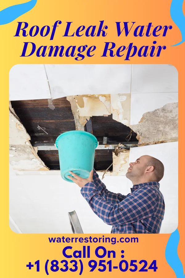 Roof Leak Water Damage Repair in Kiester, MN