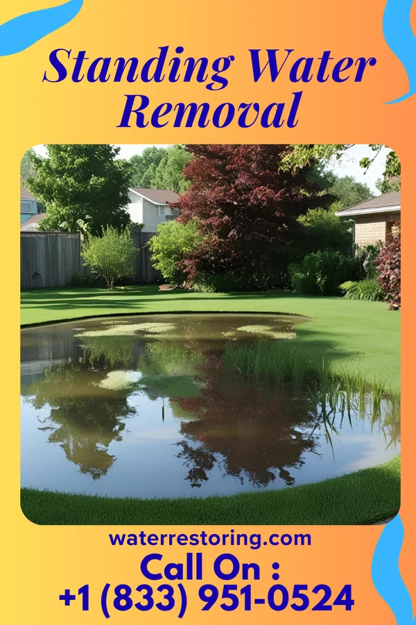 Standing Water Removal in Kiester, MN